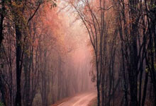 爱游戏：LIV新加坡高球赛次日 尼曼与约翰逊并列第一.