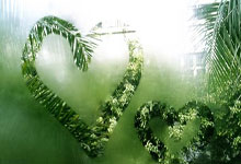 2023中国足协杯决赛将于11月25日在苏州举办中国足球协会网站.